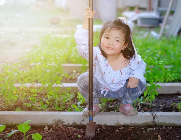 Şirin bir Asyalı kız, ailesinin arka bahçesinde sebze yetiştirmesine yardım ediyor. Toprağı kazmak için kürek kullanıyor, ekime hazırlıyor..