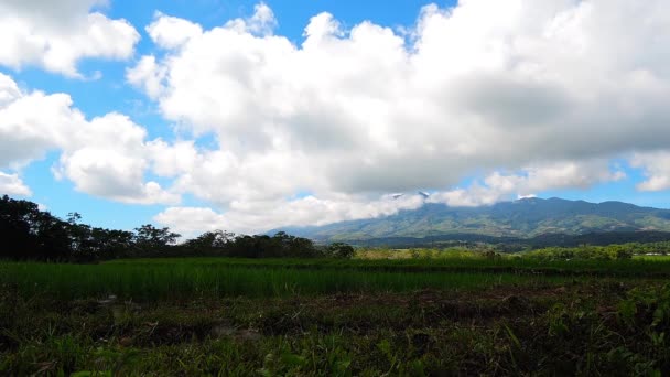 Clipe Tempo Campos Arroz Nas Saias Vulcão Canlaon Vulcão Com — Vídeo de Stock