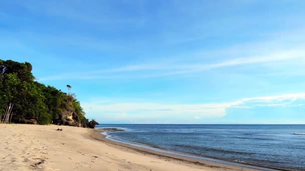 Siaton ネグロス オリエンタル フィリピンから別の静かな熱帯のビーチを撮影しました 微妙な波が黄色の砂のビーチで干潮時にリアルタイムの映像 ビデオは シームレスにループに編集されています — ストック動画