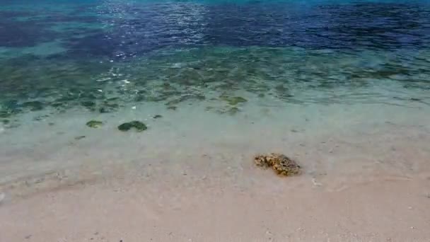 Egy Videó Korall Fehér Homok Kristálytiszta Óceán Víz Közelről — Stock videók