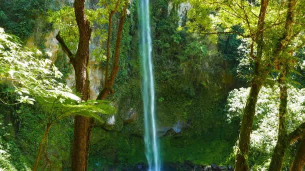 250 フィート メートル からクリップ高 Katibawasan 熱帯の滝 カミギン島 滝はランやシダに囲まれました — ストック動画