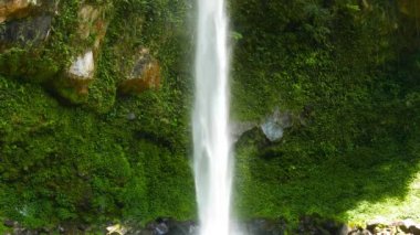 250 ft (76 m) bir klip yüksek Katibawasan tropik şelale, Camiguin Adası. Şelale orkide ve ferns çevrilidir.