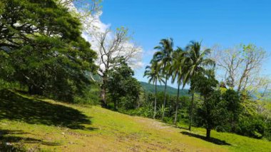 Mount Hibok Hibok volkan Gözlemevi çevresi; Camiguin Island, Filipinler. Aktif yanardağ doğal, tropikal florası-ebilmek var olmak seen video.