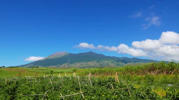 カンラオン山活火山周辺のフィールドからのビューフィリピン ネグロス オリエンタル 火山の噴火口を見ることが簡単にできます フォア グラウンドでは トマトやサトウキビのフィールド — ストック動画