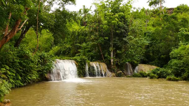 Clip Las Cataratas Tropicales Cambugahay Isla Siquijor Las Piscinas Inmersión — Vídeos de Stock