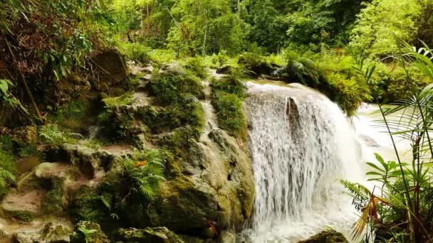 Ein Clip Von Den Tropischen Cambugahay Wasserfällen Siquijor Insel Dieses — Stockvideo