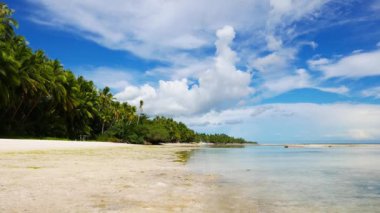San Juan, Siquijor Adası toz beyaz kum plajları düşük tide klipten; plaj çevreleyen palmiye ağaçları gösterilen.