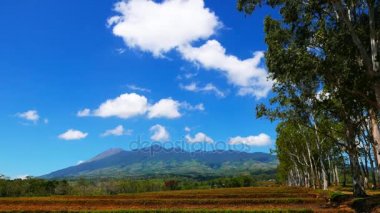 Pirinç tarlaları çevreleyen üzerinden aktif Canlaon yanardağ görünümünü; Negros Oriental, Filipinler. Yanardağ krater kolayca görülebilir. Okaliptüs ağaçları çekim çerçeve. Yerel çiftçiler ile su bufalo yere çiftçilik da bir di görülebilir