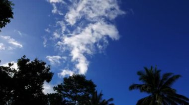 Bir zaman atlamalı taşıma ve dönüştürme kümülüs bulutlar arkasında ağaç siluetleri Valencia, Dumaguete şehir gösterilen video.