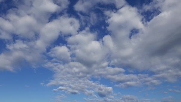 タイムラプス ビデオ積雲の雲の移動や変換を示します 高速な動きとして提示 — ストック動画