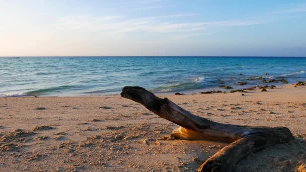 Playa Arena Blanca Isla Bantayan Durante Marea Alta Por Mañana — Vídeo de stock