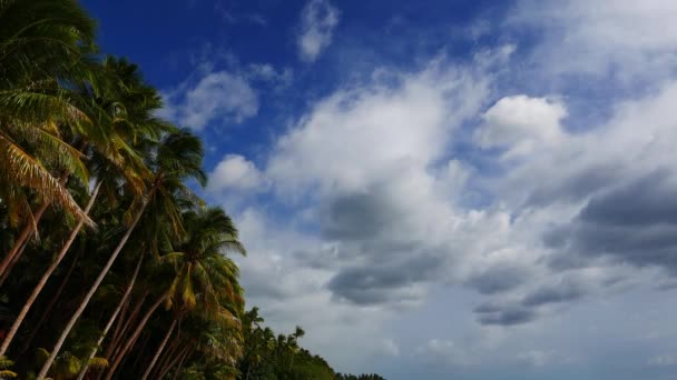 Video Mostrando Nubes Moviéndose Sobre Palmeras Playa San Juan Isla — Vídeo de stock