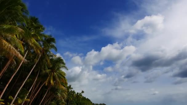 Sebuah Video Jangka Panjang Menunjukkan Awan Cumulus Bergerak Dan Bertransformasi — Stok Video