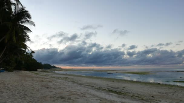 シキホール島のビーチや海の上の低高度の雲を表示の白い砂浜から早朝ビデオ 野生の犬は ビーチに移動見ることができます — ストック動画