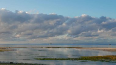 Siquijor beyaz kumlu plajları bir düşük tide sabah klip. Çin ak balıkçıl düşük gelgit havuzları arasında uçan görülebilir. Yerel Avara Demiri tekneler arasında seyir de görülebilir.