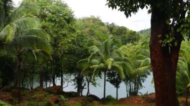 Siaton tropikal bir klip yağmur altında çevre göl Balanan ormanlar.