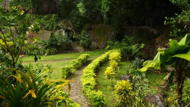 Clipe Jardins Tropicais Perto Lago Balanan Sob Chuva — Vídeo de Stock