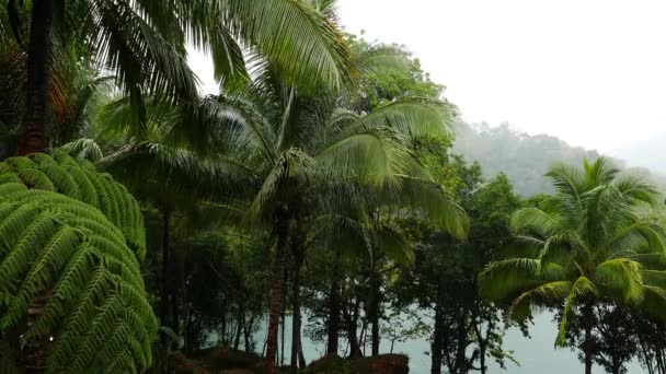 Clip Siaton Tropical Forests Surrounding Lake Balanan Heavy Rain — Stock Video