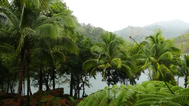 Clipe Florestas Tropicais Siaton Torno Lago Balanan Sob Forte Chuva — Vídeo de Stock