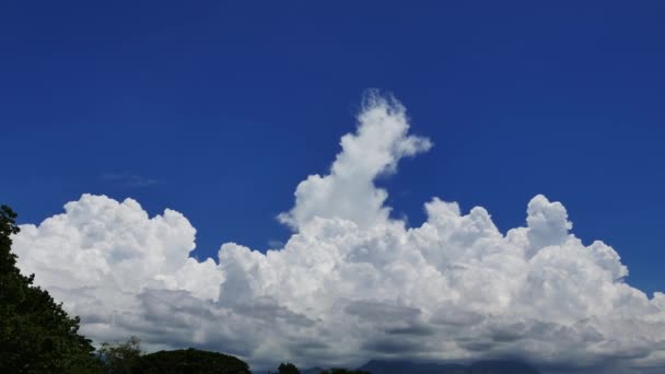 Een Tijd Vervallen Video Toont Beweging Transformatie Van Cumulus Wolken — Stockvideo