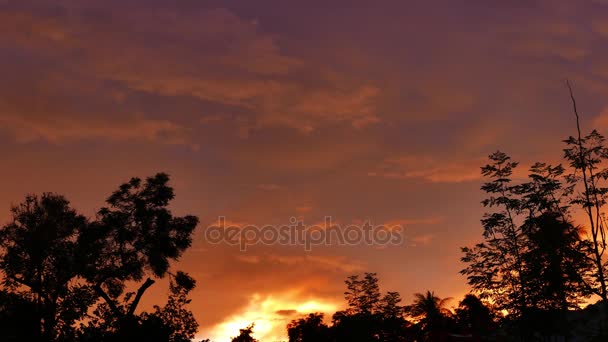 ドゥマゲテ市の動きと色を示すビデオ カラフルな日の出は ツリー シルエットの背後にある雲の変更します 時間の経過として提示 — ストック動画