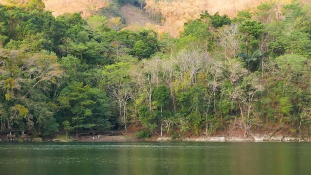 Clip Nature Pittoresque Entourant Lac Balanan — Video