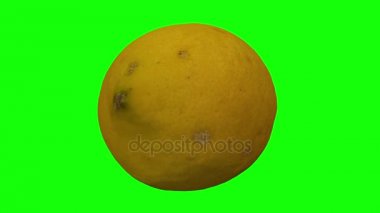 Yeşil arka plan üzerinde dönen bir limon gerçekçi render. Video sorunsuz döngü ve 3d nesne gerçek bir limon taranan.