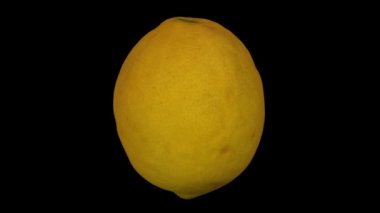 Siyah arka plan üzerine dönen limon gerçekçi render. Video sorunsuz döngü ve 3d nesne gerçek bir limon taranan.