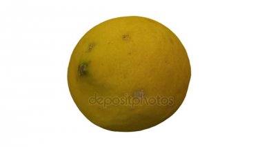 Beyaz arka plan üzerinde dönen bir limon gerçekçi render. Video sorunsuz döngü ve 3d nesne gerçek bir limon taranan.