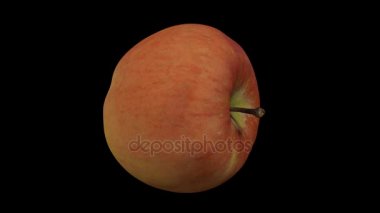 siyah arka plan üzerinde dönen bir Fuji elma 3D render. Video sorunsuz döngü.