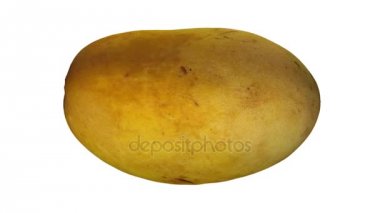 Beyaz arka plan üzerinde 3D bir dönen render sarı (Ataulfo) mango. Video sorunsuz döngü.