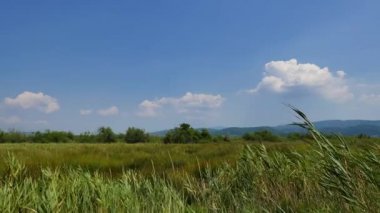 Akyaka (Gökova Körfezi, Ege Denizi) kıyı çayırlar--dan açık, rüzgarlı bahar gününde atış A.