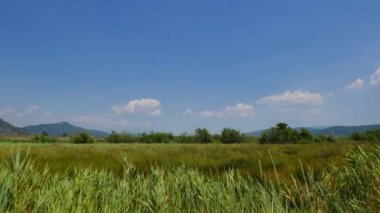 Akyaka (Gökova Körfezi, Ege Denizi) kıyı çayırlar--dan açık, rüzgarlı bahar gününde atış A.