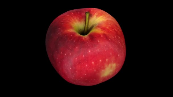 Representación Una Manzana Giratoria Red Delicious Sobre Fondo Negro Vídeo — Vídeos de Stock