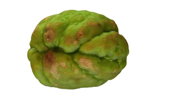 Realistic Render Rotating Chayote White Background Video Seamlessly Looping Object — Stock Video