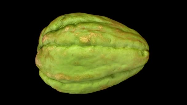 Reproduction Réaliste Chayote Rotatif Sur Fond Noir Vidéo Est Parfaitement — Video