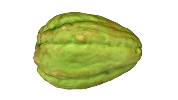 Realistic Render Rotating Chayote White Background Video Seamlessly Looping Object — Stock Video