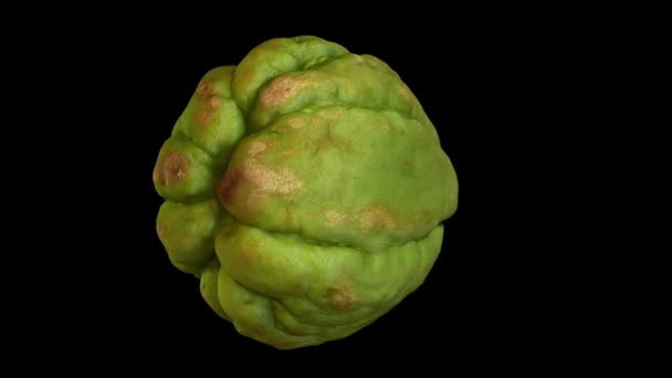 Reproduction Réaliste Chayote Rotatif Sur Fond Noir Vidéo Est Parfaitement — Video