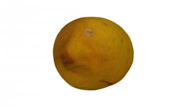 Beyaz arka plan üzerinde dönen bir limon gerçekçi render. Video sorunsuz döngü ve 3d nesne gerçek bir limon taranan.