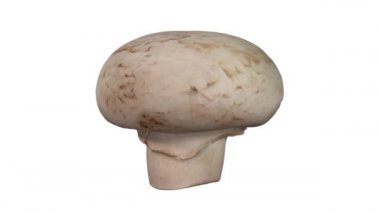 Beyaz arka plan üzerinde dönen bir gerçekçi render beyaz (champignon) mantar. Video sorunsuz döngü ve 3d nesne inceden inceye gözden geçirmek--dan gerçek bir mantar.