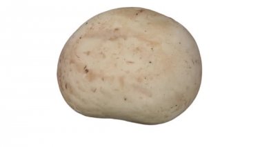 Beyaz arka plan üzerinde dönen bir gerçekçi render beyaz (champignon) mantar. Video sorunsuz döngü ve 3d nesne inceden inceye gözden geçirmek--dan gerçek bir mantar.