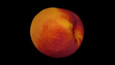 Bir dönen gerçekçi render şeftali (nektarin çeşitli) siyah arka plan üzerine. Video sorunsuz döngü ve 3d nesnenin gerçek meyvelerden taranır.