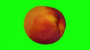 Bir dönen gerçekçi render şeftali (nektarin çeşitli) yeşil zemin üzerine. Video sorunsuz döngü ve 3d nesnenin gerçek meyvelerden taranır.