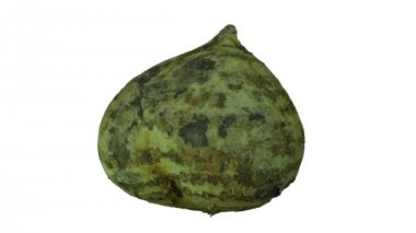 Beyaz arka plan üzerinde dönen Meksika şalgam (Jicama) gerçekçi render. Video sorunsuz döngü ve 3d nesne inceden inceye gözden geçirmek--dan gerçek Meksika bir şalgam.