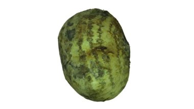Beyaz arka plan üzerinde dönen Meksika şalgam (Jicama) gerçekçi render. Video sorunsuz döngü ve 3d nesne inceden inceye gözden geçirmek--dan gerçek Meksika bir şalgam.