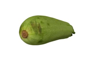 Beyaz arka plan üzerinde dönen bir kabak (Magda çeşitli) gerçekçi render. Video sorunsuz döngü ve 3d nesne inceden inceye gözden geçirmek--dan gerçek bir kabak.