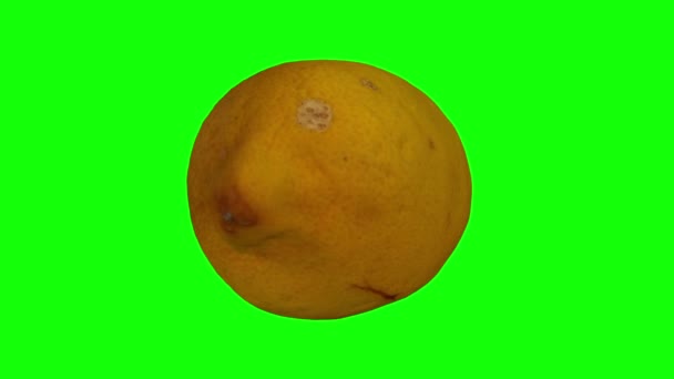 Realistické Vykreslení Rotující Citronu Zeleném Pozadí Video Bezproblémově Opakování Objektu — Stock video