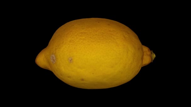 Realistické Vykreslení Rotující Citronu Černém Pozadí Video Bezproblémově Opakování Objektu — Stock video