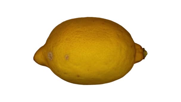 白い背景の上の回転のレモンの現実的なレンダリングされます ビデオがシームレスにループしていると オブジェクトは 本物のレモンからスキャン — ストック動画