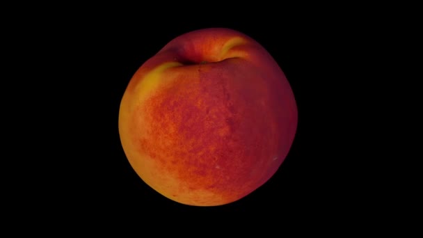 Realistic Render Rotating Peach Nectarine Variety Black Background Video Seamlessly — Stock Video